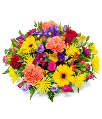 posy mixed